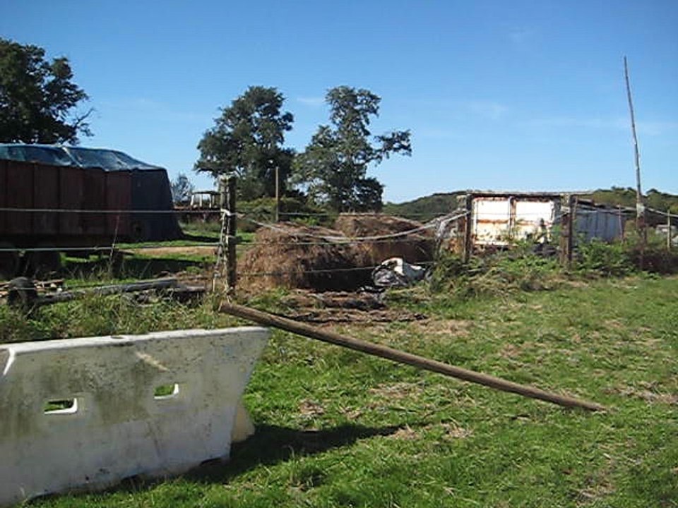 croix galop bis fandango