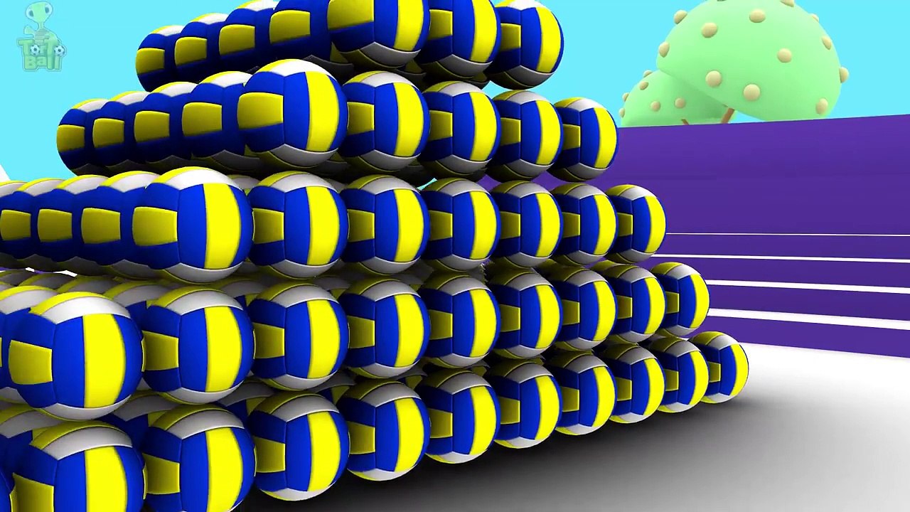 LEARN BALLS - Turtle Painted Soccer ball Bowling ball Basketball For Children and Kids | Torto Ball