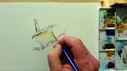 How to paint a bird, Wren tutorial. Quick and easy! With Peter Sheler