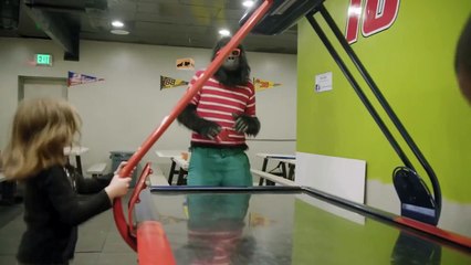 Sylvio (2017) Teaser Trailer HD