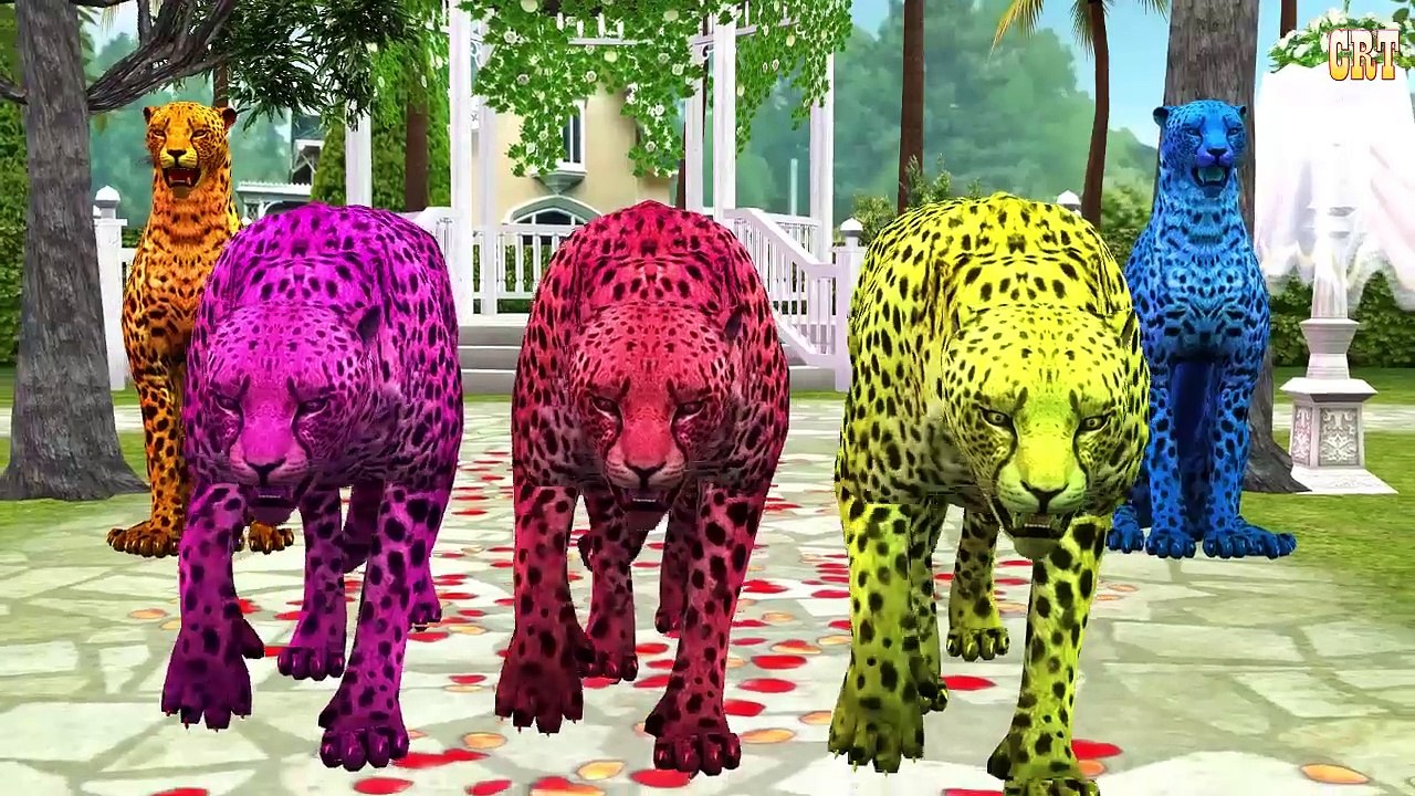 Lion, Tiger, Gorilla, Bear Animals Sounds Nursery Rhymes | Children Rhymes For Kids Collection