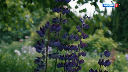 Наживка для ангела 2 серия