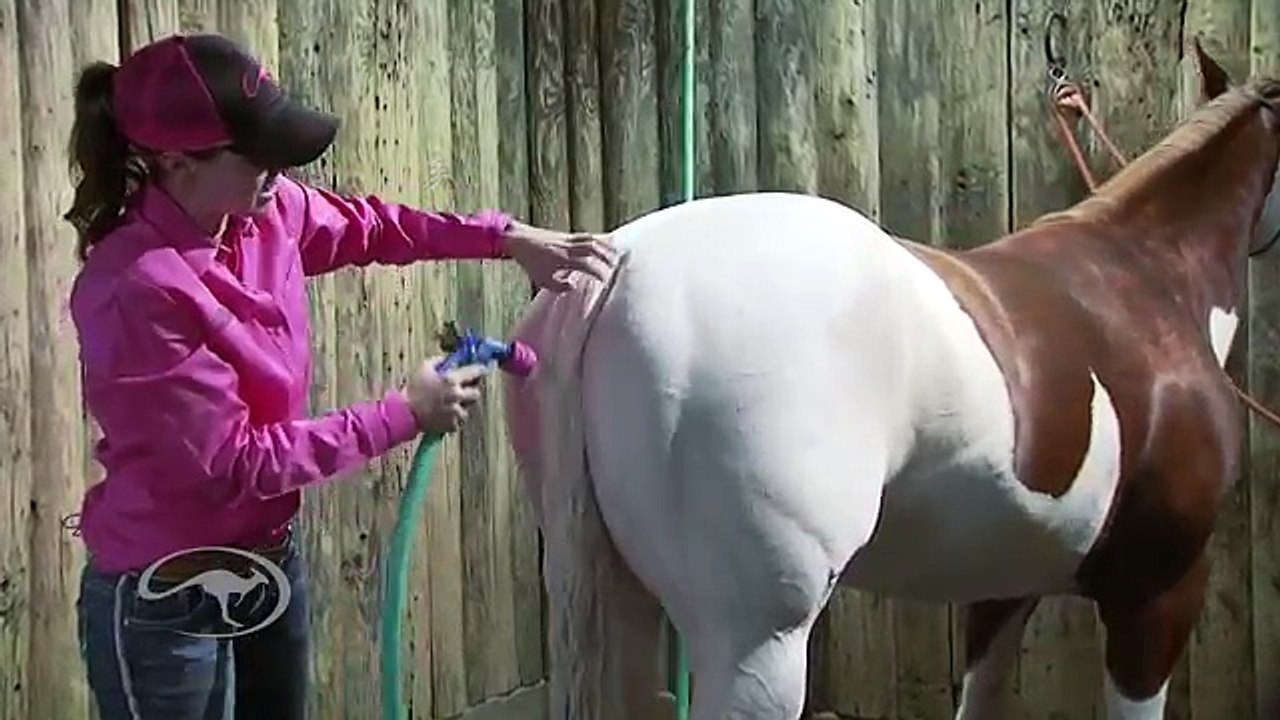 Clinton Anderson: How to Wash and Care for Your Horses Tail - Downunder Horsemanship