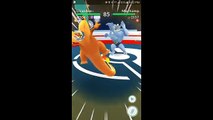 Pokémon GO Gym Battles Two Level 3 Gyms Wartortle Charmeleon Tentacruel Charizard Magmar nest & more
