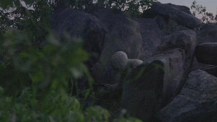 **Watch Full** Channel Zero (Season 2 Episode 5) FuLL ~ {Streaming}