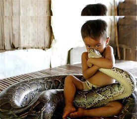 Amazing video Kids playing with dangerous snakes