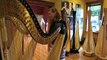 Abby Gets a PEDAL HARP!!!