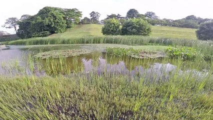 Japon Episode 9 Kanazawa