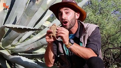 Inked by a Giant Slug!