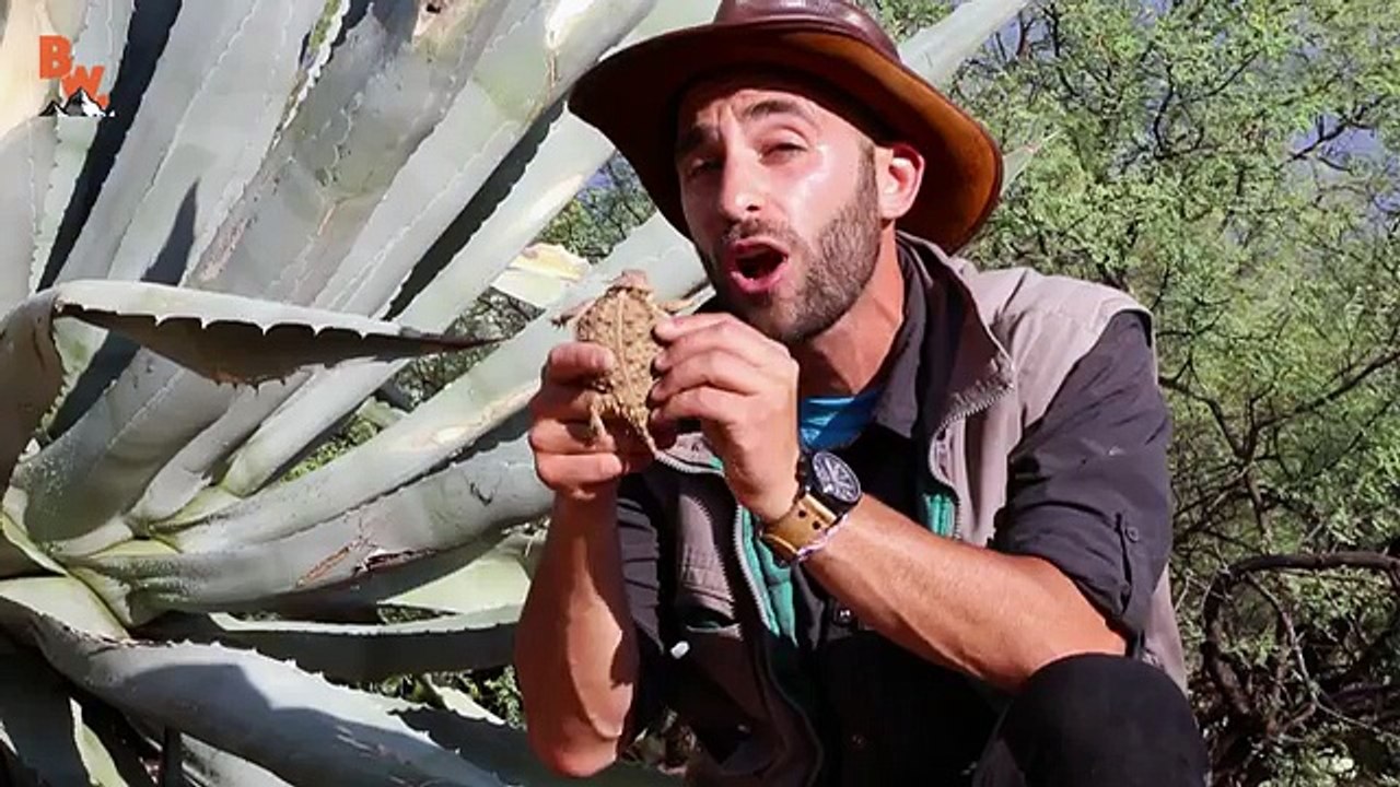 Inked by a Giant Slug!