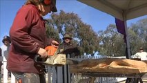 هذا الصباح-بأستراليا.. المنشار الكهربائي للنحت الفني