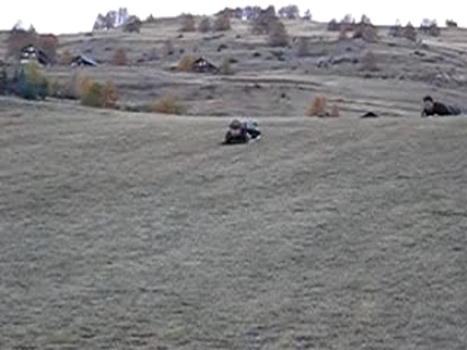 Luge carton 4
