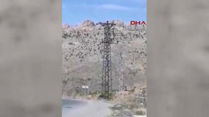 Niğde Telefonla Konuşmak İçin Elektrik Direğine Çıkıyorlar
