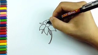 Drawing and Art Colours for Kids with Colored Pencils