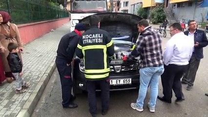Motora Sıkışan Kedi Düğün Konvoyundan Etti