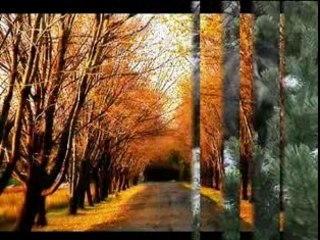 Couleurs d'automne
