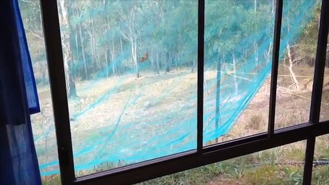 Shipping Container house Two years living in shipping containers (review)