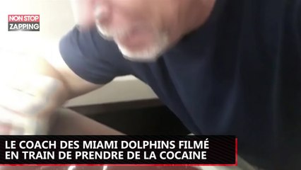 Foot US : Le coach des Miami Dolphins filmé en train de prendre de la cocaïne (Vidéo)