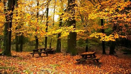 En güzel Kürtçe Şarkılar Yeni