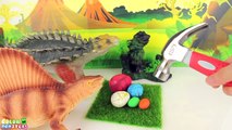 Dinosaurs Surprise Eggs! Dino Baby water Growing. Learn Dinosaurs Eggs Toys 공룡 알 Learning dinosaur
