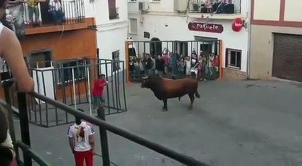 Ne pas provoquer un taureau