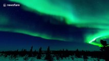 Beautiful timelapse video of Northern Lights over Canadian Arctic tundra