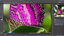 AMAZING BUTTERFLY MANIPULATION WITH A GIRL IN PHOTOSHOP CS 6 MODu222