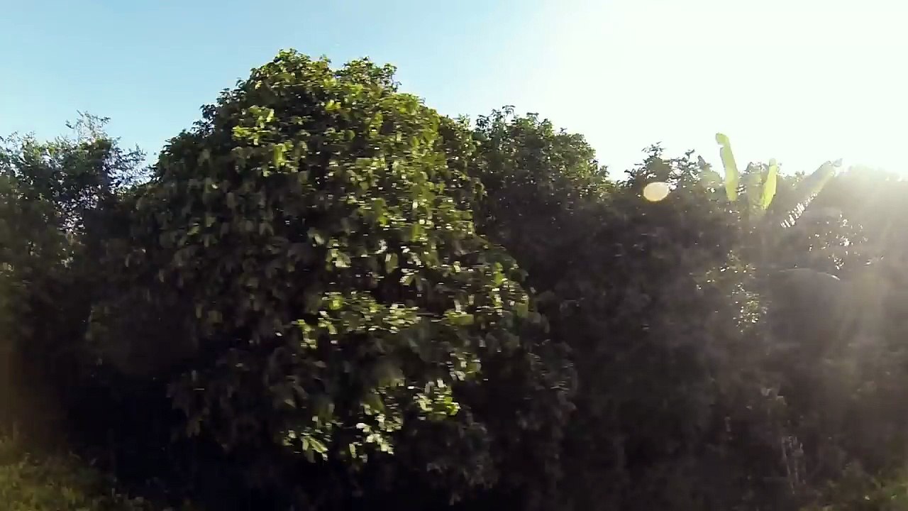 Trailer :: Armanda