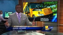 Video: Man arrested after jumping onto school bus