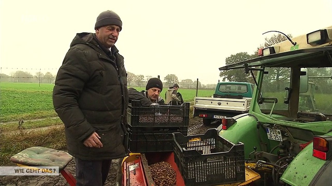 Wenn Bäume in die Schule gehen - Wie geht das?