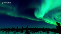 Beautiful timelapse video of Northern Lights over Canadian Arctic tundra