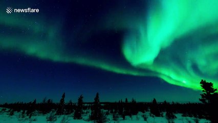 Beautiful timelapse video of Northern Lights over Canadian Arctic tundra