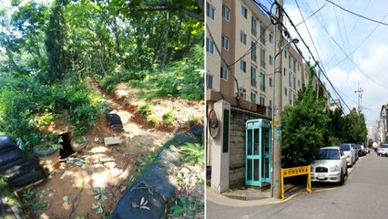 '여의도 면적 10배' 땅 무단점유한 국방부 / YTN