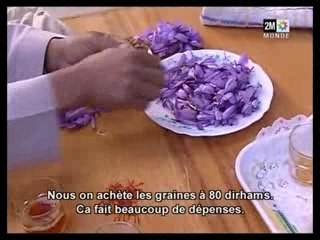 La culture du Safran à Taliouine au Maroc