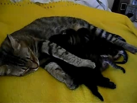 tits bouts de choux que du bonheur!!!