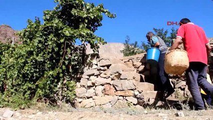 Erzurum Meyveleri Yazın Dalından, Kışın 'Hevenk'ten Yiyorlar