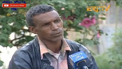 New Eritrean - .ሓይሎም በረቀ   ዝገብሮ ተመልከቱ።