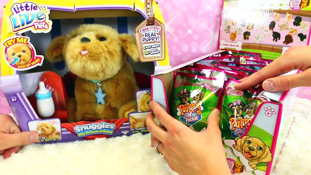 ENTIRE CASE Puppy In My Pocket Season 6 + Little Live Pets Snuggles Dog Baby Bottle & Naptime