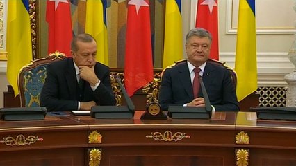 Turkey's president Erdogan struggles to stay awake during briefing in Kiev