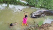 Wow!! Fearless Kids Catch Giant Snake Near Water While Fishing