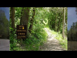 american vacation? try fishing in roaring river state park!
