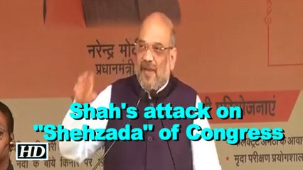 BJP top guns attack Rahul in Amethi