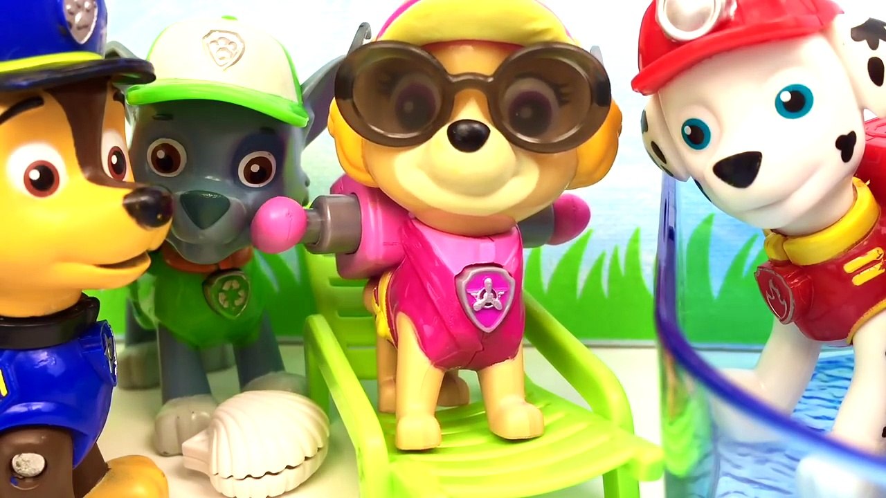 Patrulha Canina Skye Gravida Descobre uma Surpresa Episódio Completo Portugues