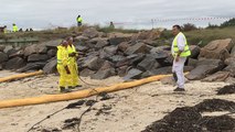 Journée de formation aux pollutions marines