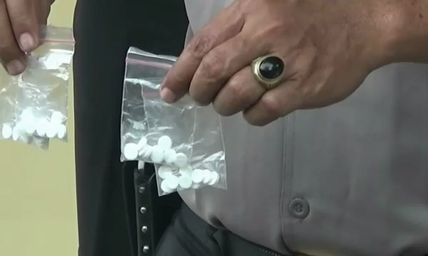 Ada Pil Sapi Dipasarkan Lewat Medsos