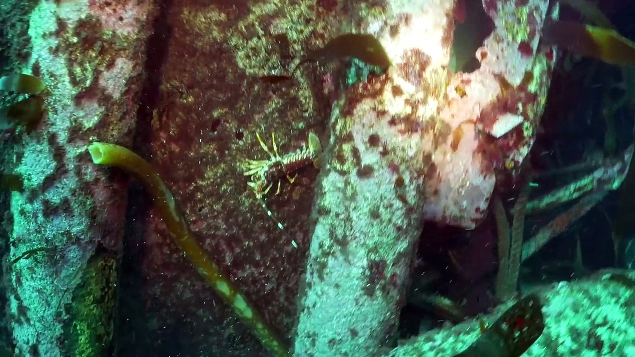 Season Finale MEGASODE!!  88 days of Summer in Cape Town- Sailing Vessel Delos Ep. 141