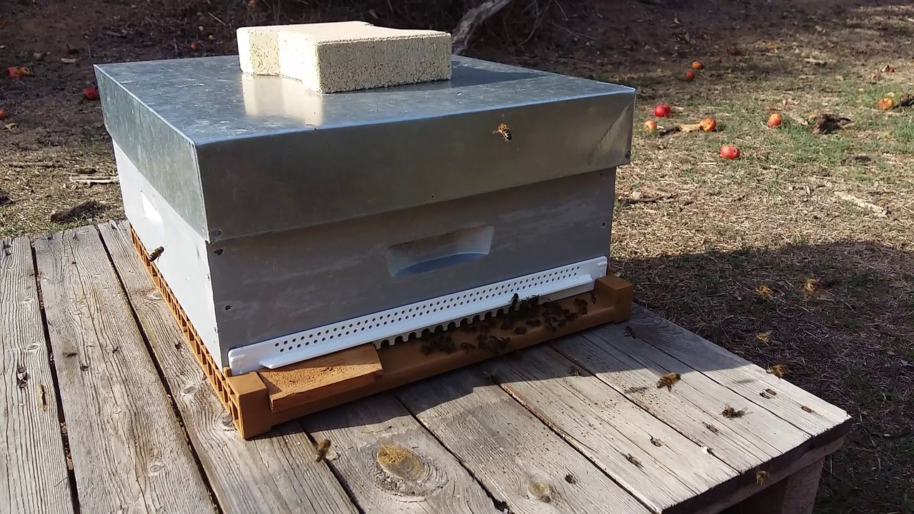 Colonie "Bocognano" le 10 oct 2017