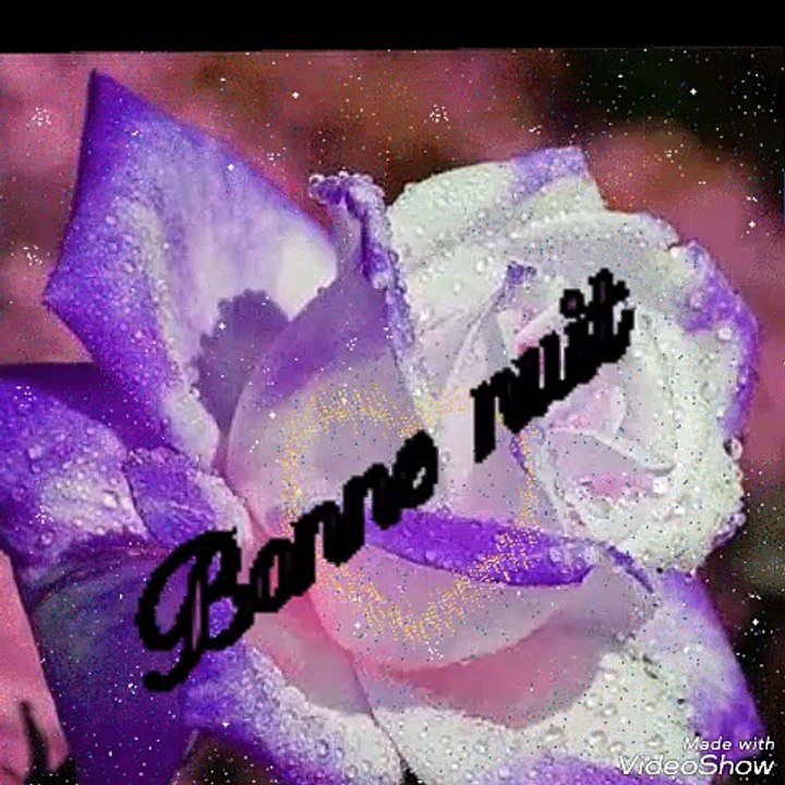 Fais de beaux rêves 65