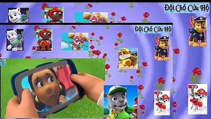 Những chú chó cứu hộ - cuộc thi got Tallent -paw patrol rescue dog