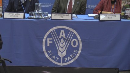 FAO: Obesidad sigue al alza y hambre subió 6 % en América Latina en 2016